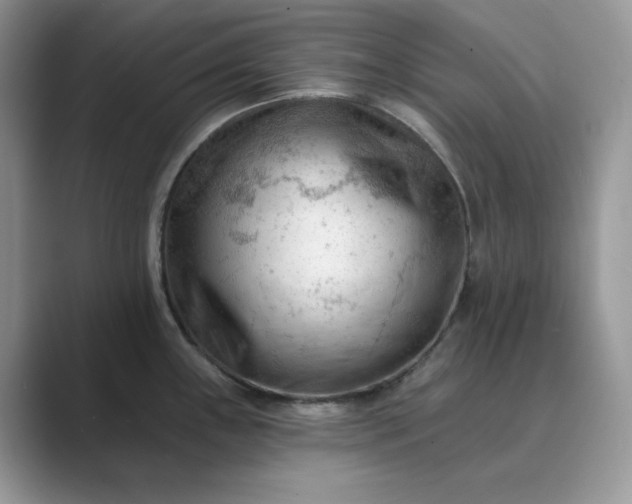 X0000089661243200707051524