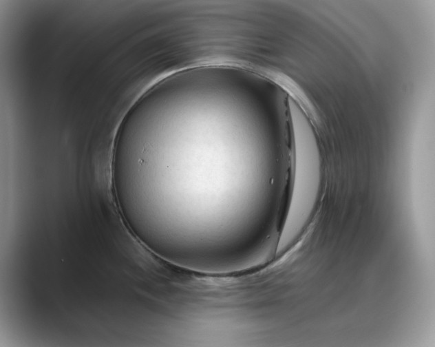 X0000089661244200707051524