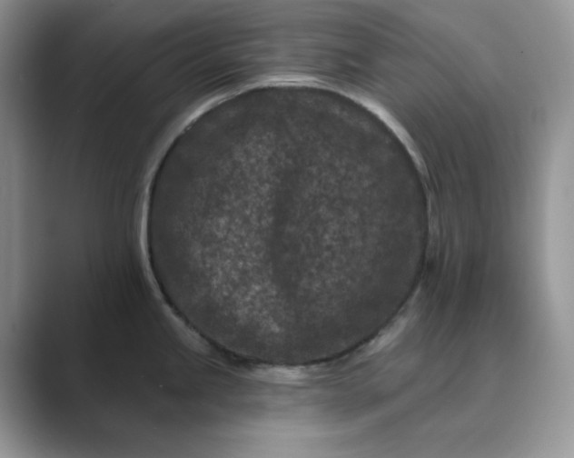 X0000089661245200707051524