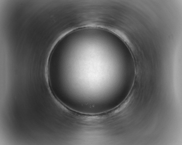 X0000089661247200707051524