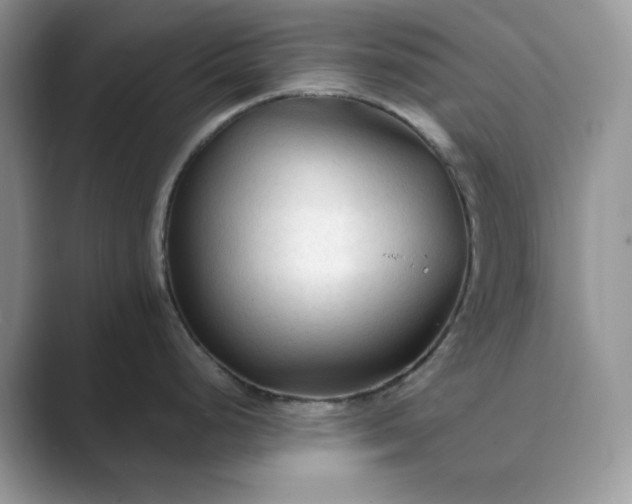 X0000089661248200707051524