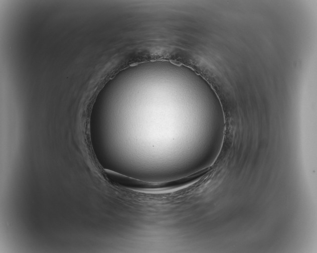 X0000089661249200707051523