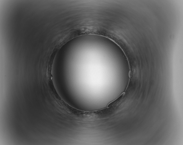 X0000089661250200707051523