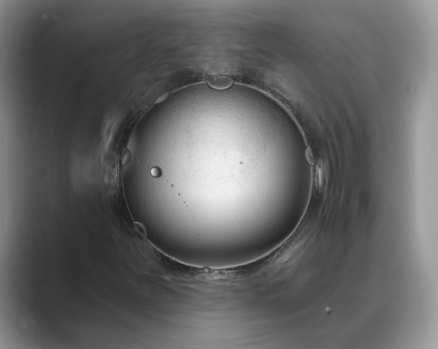 X0000089661251200707051523