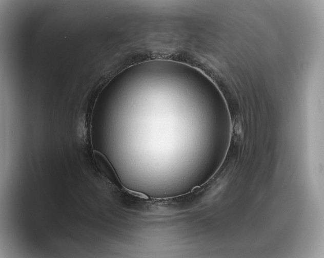 X0000089661252200707051523