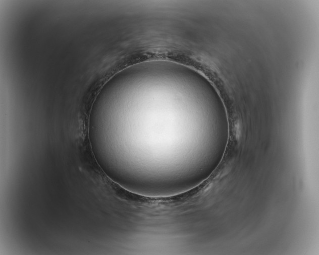 X0000089661253200707051523