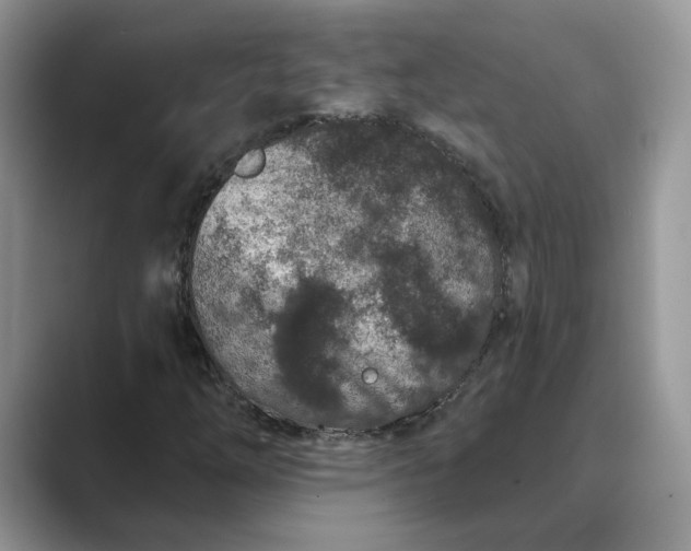 X0000089661254200707051523