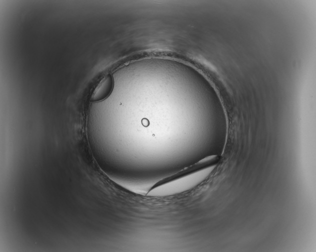 X0000089661255200707051523