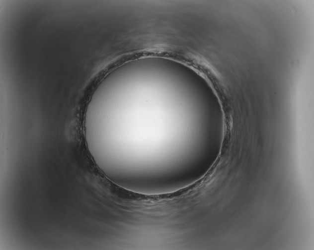 X0000089661256200707051523