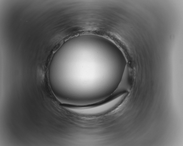 X0000089661257200707051523