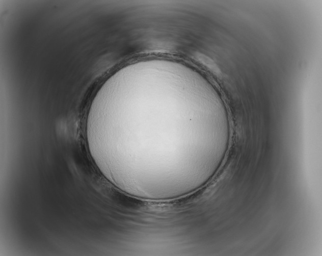 X0000089661258200707051523