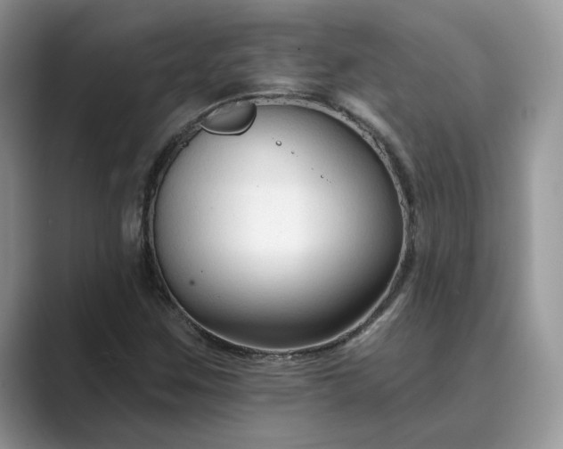 X0000089661259200707051523