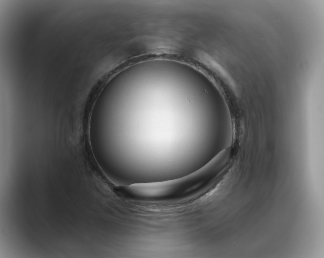 X0000089661261200707051523