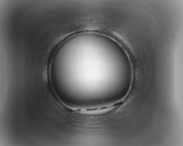 X0000089661262200707051523