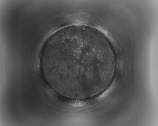 X0000089661263200707051523