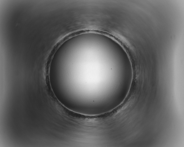 X0000089661264200707051523