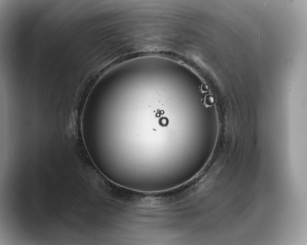 X0000089661265200707051523