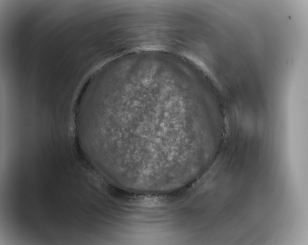 X0000089661266200707051523