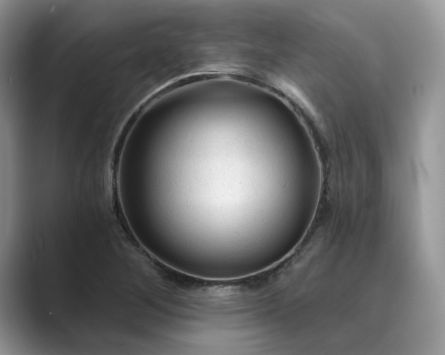 X0000089661268200707051523