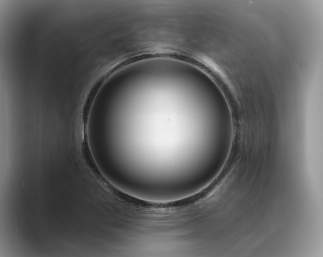 X0000089661269200707051523