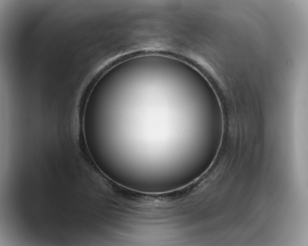 X0000089661270200707051523