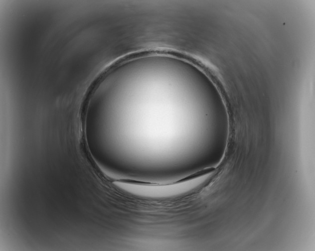 X0000089661271200707051523