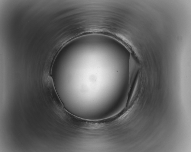 X0000089661273200707051523