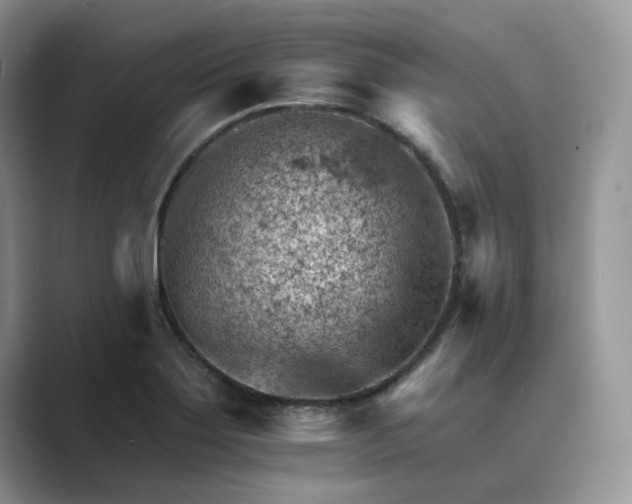 X0000089661275200707051523