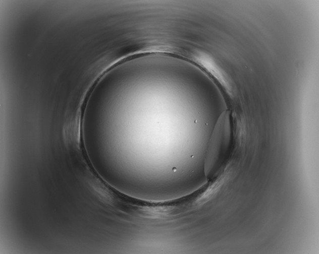 X0000089661276200707051523