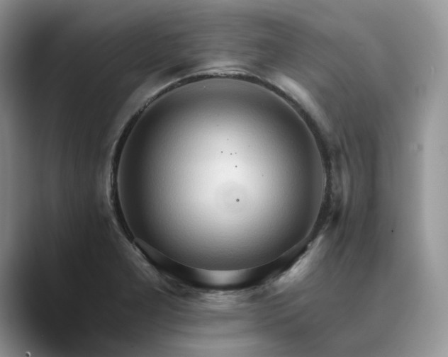 X0000089661277200707051523