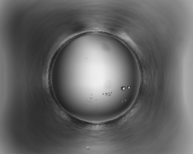 X0000089661278200707051523