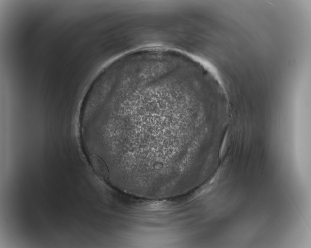 X0000089661279200707051523