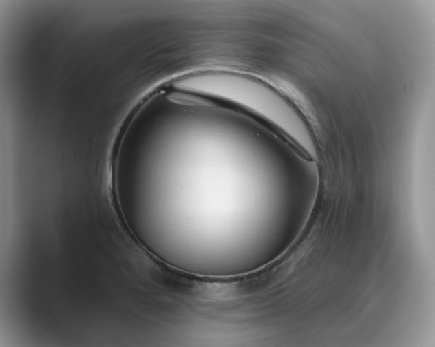 X0000089661280200707051523