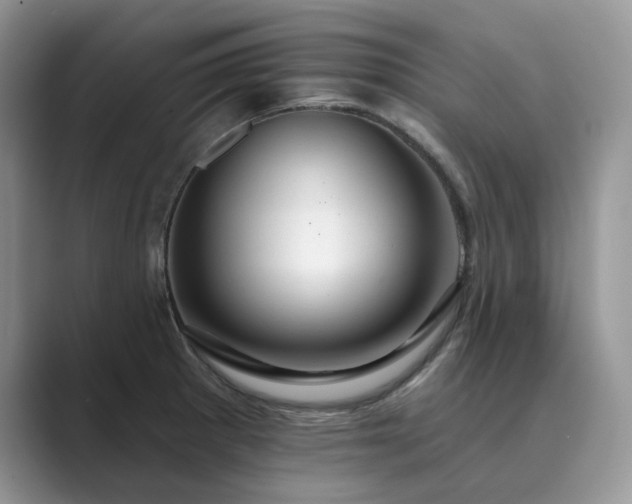 X0000089661281200707051523