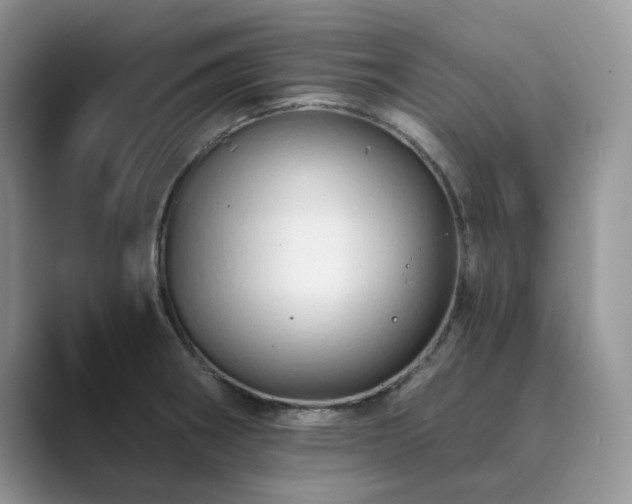 X0000089661282200707051523