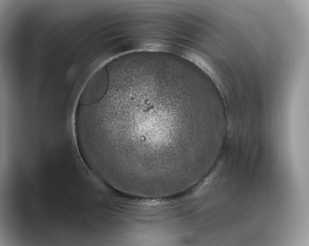 X0000089661283200707051523