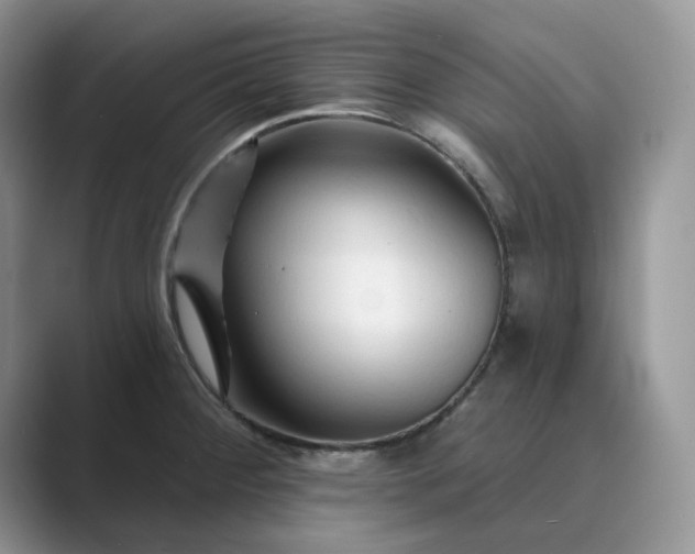 X0000089661284200707051523