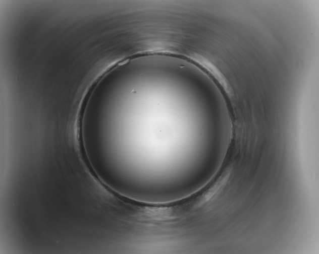 X0000089661285200707051523