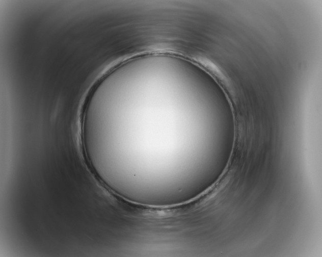 X0000089661286200707051523