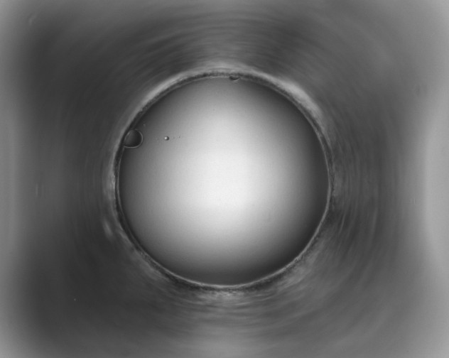 X0000089661287200707051523