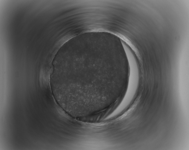 X0000089661289200707051523