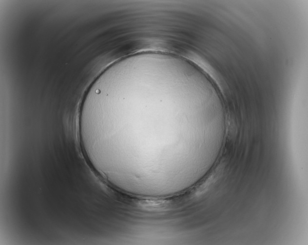 X0000089661290200707051523