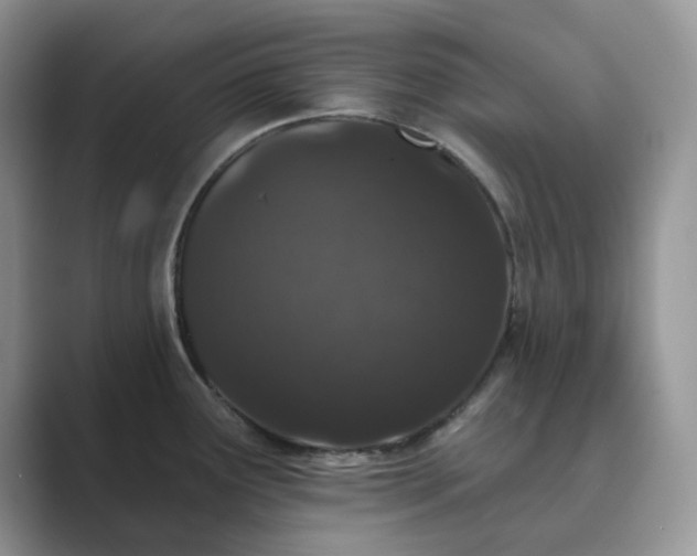 X0000089661291200707051523