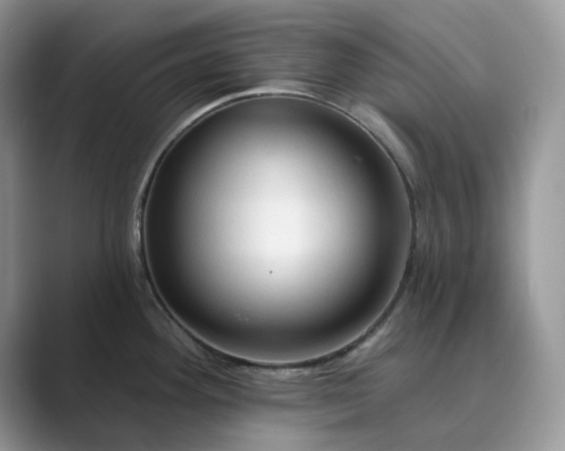 X0000089661292200707051523