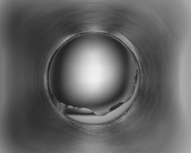 X0000089661293200707051523