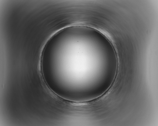 X0000089661296200707051523