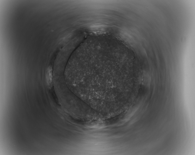 X0000089661298200707051522