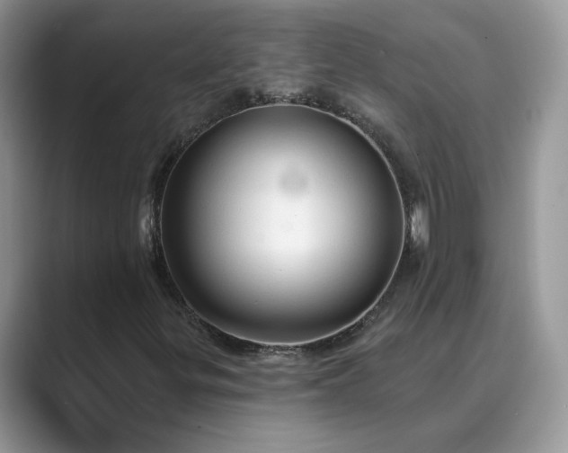 X0000089661299200707051522