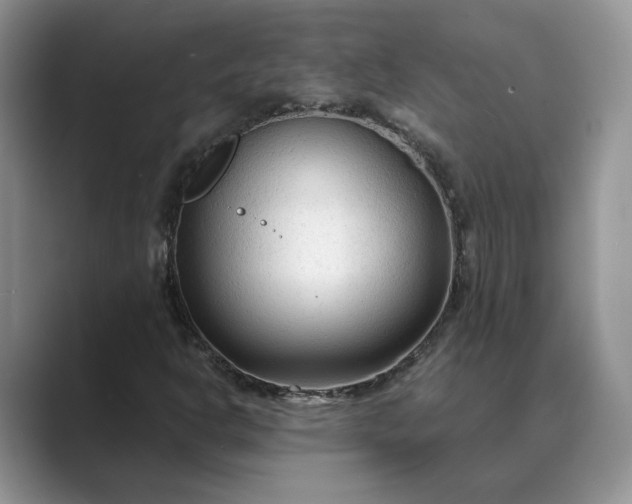 X0000089661302200707051522