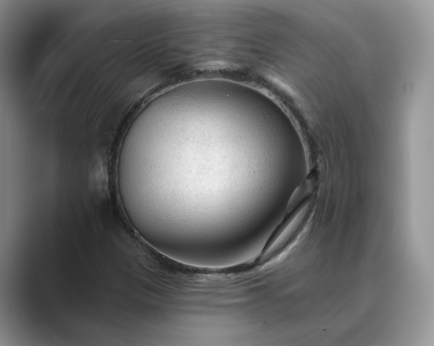 X0000089661305200707051522